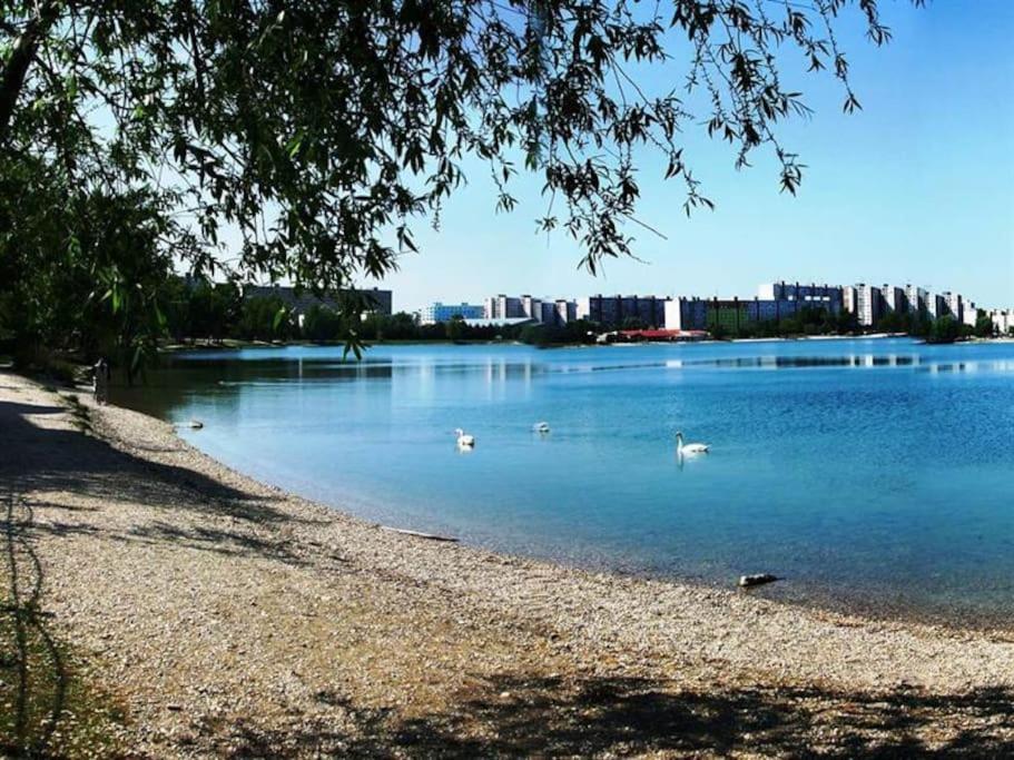 Lake Apartment, 2X Free Garage, 10 Mins To Centre Bratislava Exteriör bild